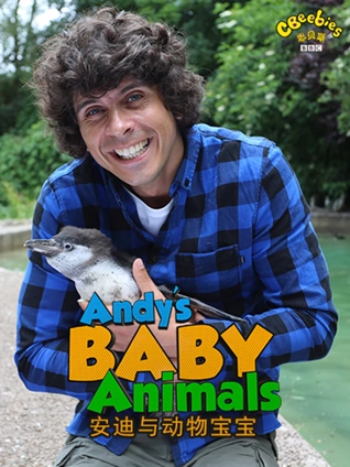 安迪与动物宝宝