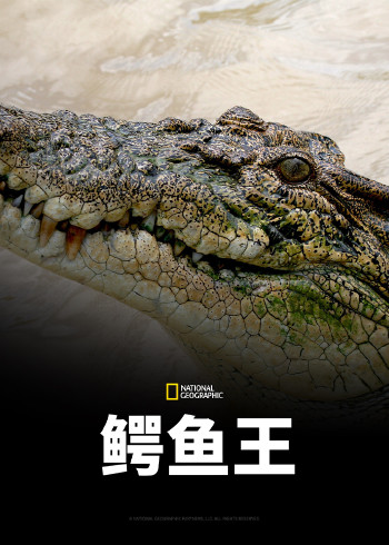 鳄鱼王